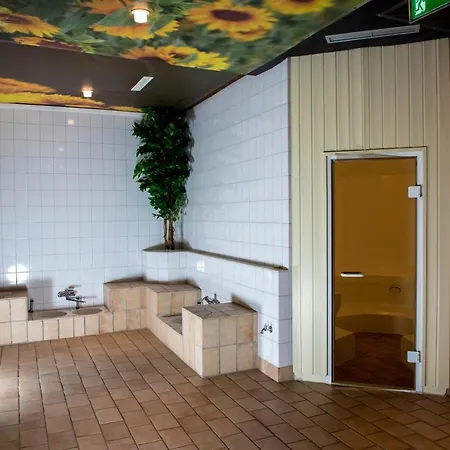 Apartamento App 647 Panoramic Hohegeiss Terrassenhaus